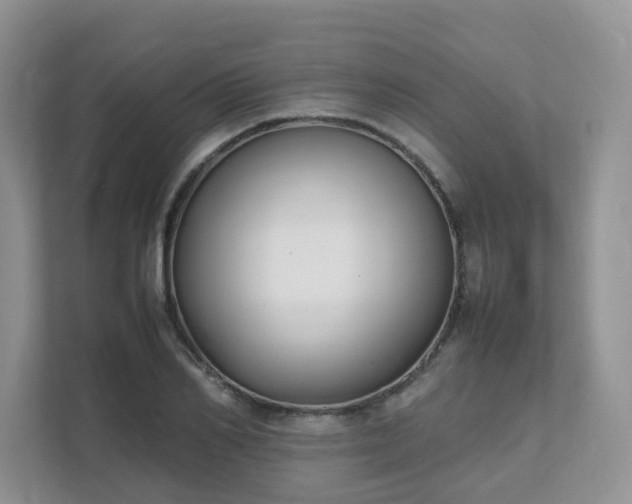 X0000111530982200907211241