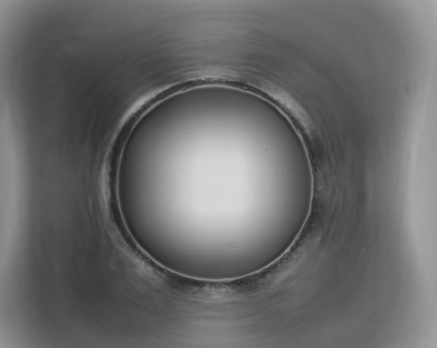 X0000111530983200907211241