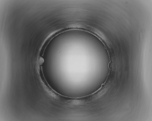 X0000111530984200907211241