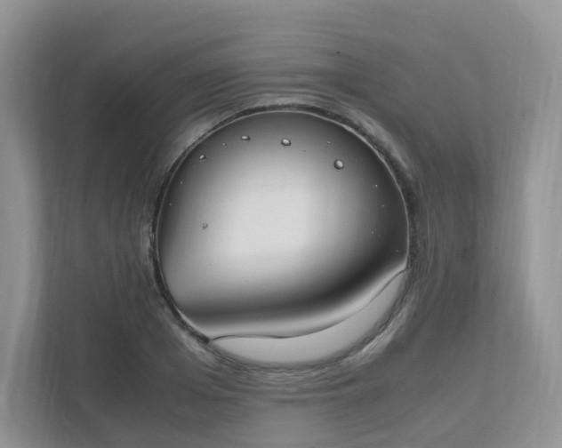 X0000111530985200907211241