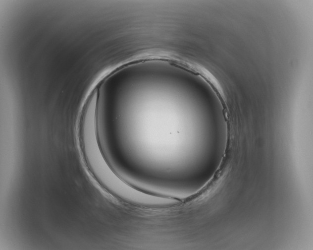 X0000111530997200907211240