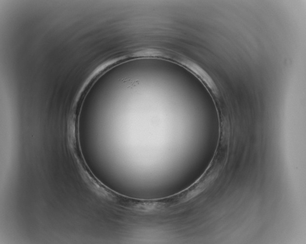 X0000111531000200907211240