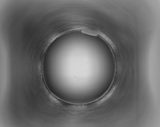 X0000111531001200907211240