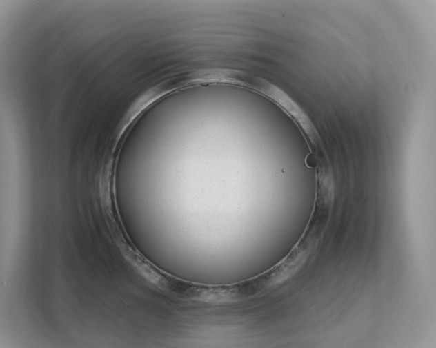 X0000111531002200907211240