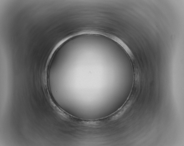 X0000111531004200907211240