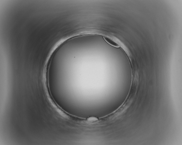 X0000111531005200907211240