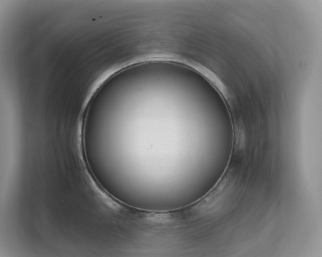 X0000111531006200907211240