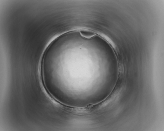 X0000111531007200907211240