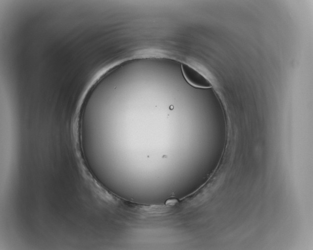 X0000111531008200907211240