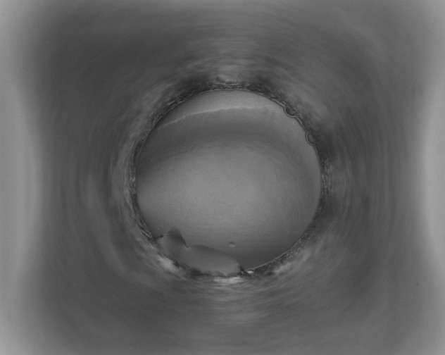 X0000111531009200907211240