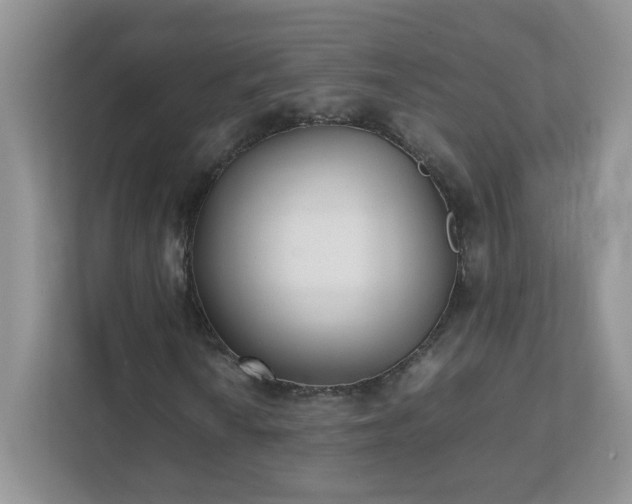 X0000111531010200907211240