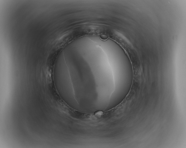 X0000111531013200907211240