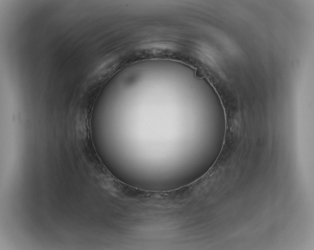 X0000111531014200907211240