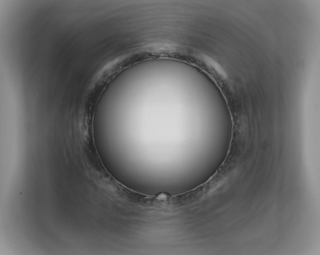 X0000111531016200907211240