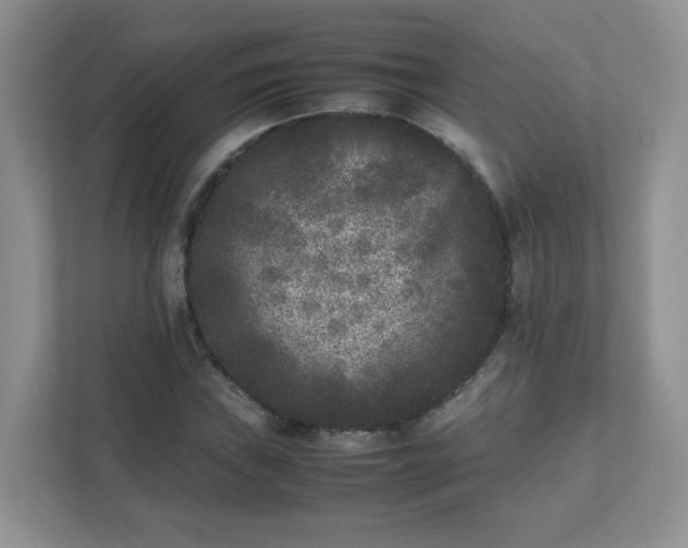 X0000111531019200907211240