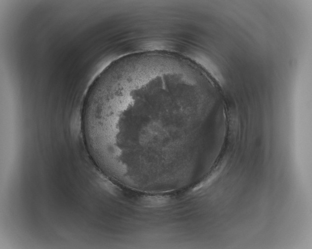 X0000111531023200907211240