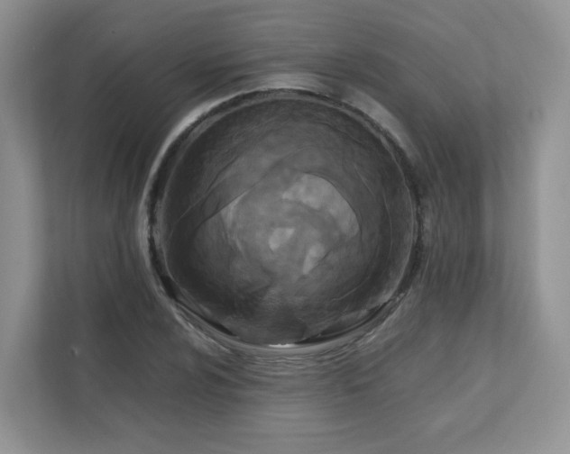 X0000111531024200907211240