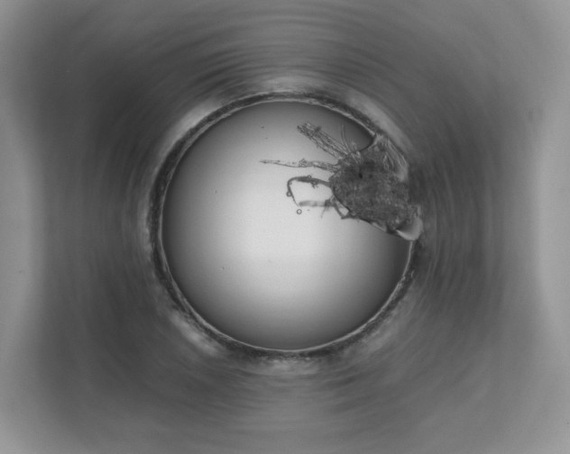 X0000111531026200907211240