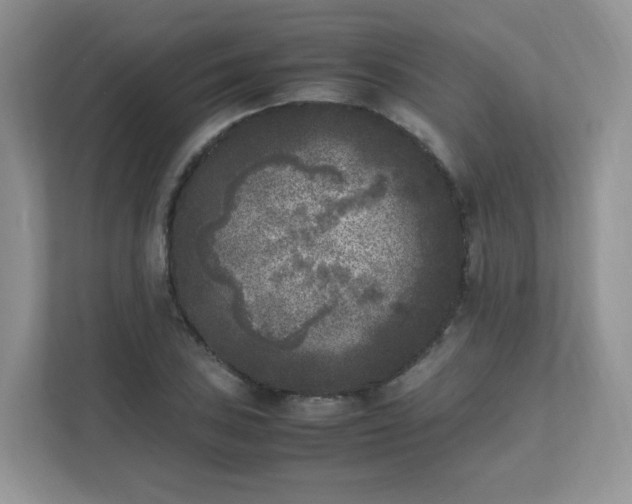 X0000111531027200907211240