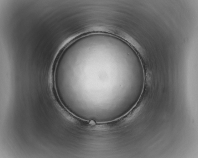 X0000111531028200907211240