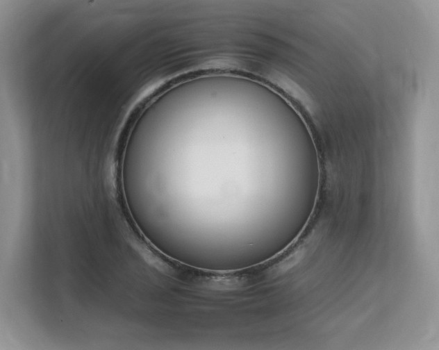 X0000111531029200907211240