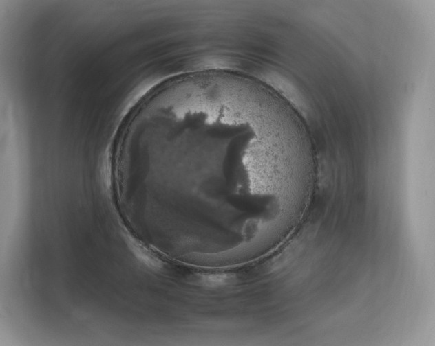 X0000111531031200907211240