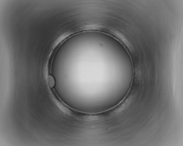 X0000111531034200907211240