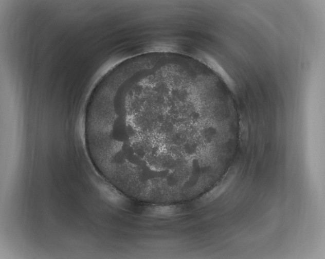 X0000111531035200907211240