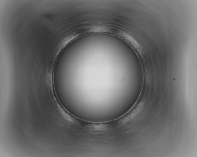 X0000111531041200907211240