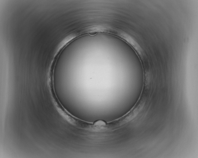 X0000111531042200907211240