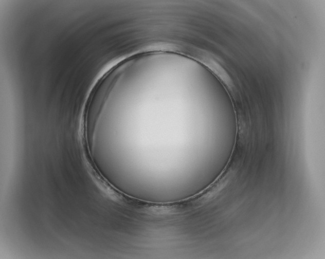 X0000111531044200907211240