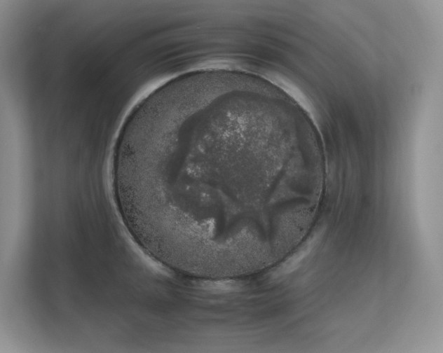 X0000111531045200907211240