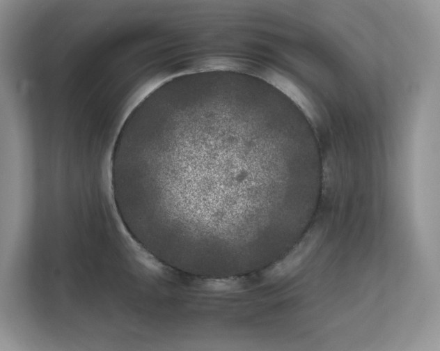 X0000111531047200907211240