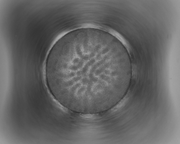 X0000111531048200907211240