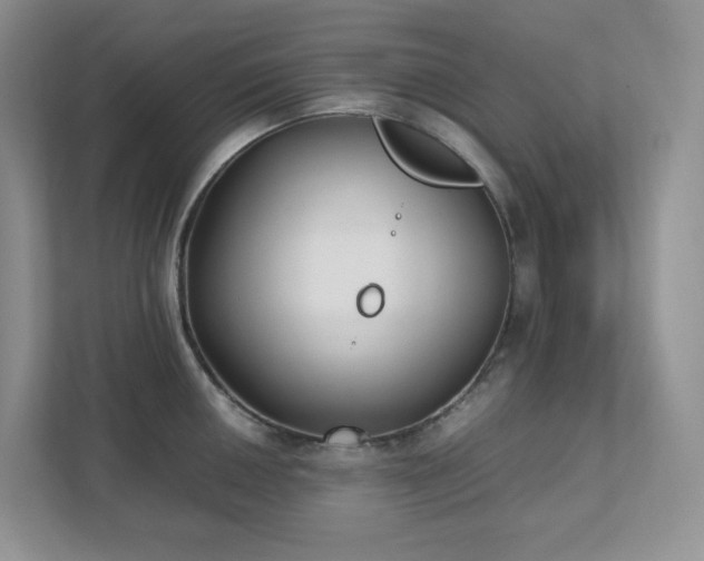 X0000111531050200907211240