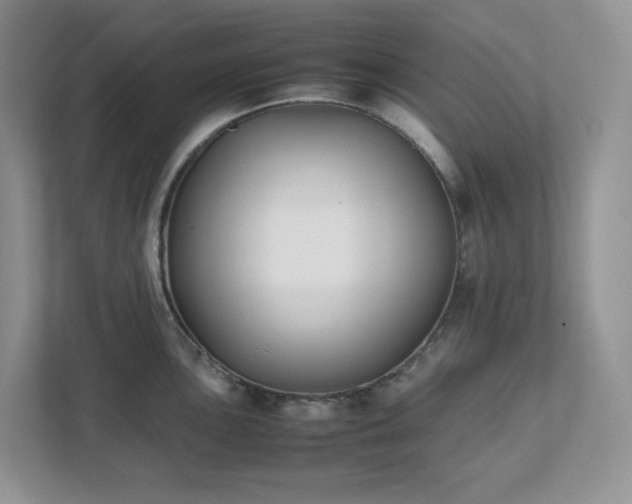 X0000111531051200907211240