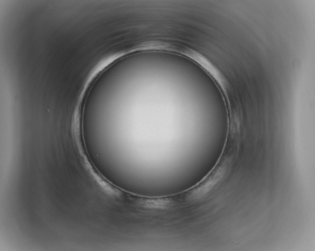 X0000111531053200907211240