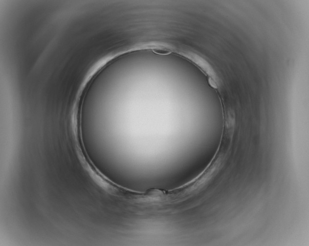 X0000111531054200907211240