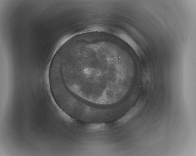 X0000111531055200907211240