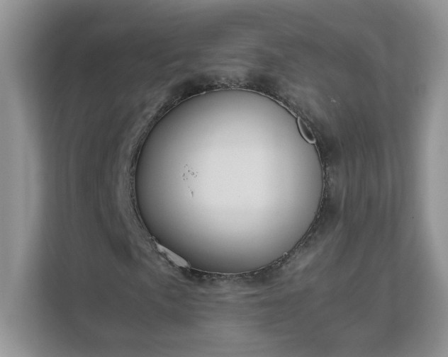 X0000111531057200907211240