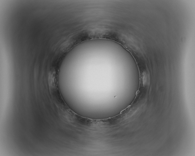 X0000111531059200907211240