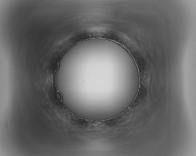 X0000111531061200907211240