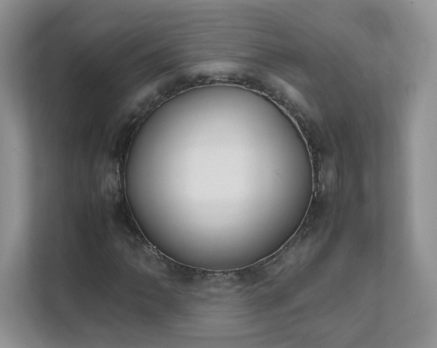 X0000111531062200907211240