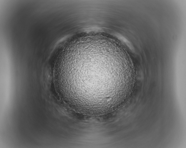 X0000111531063200907211240