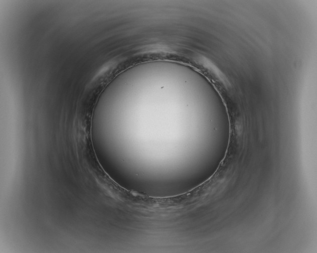 X0000111531064200907211240