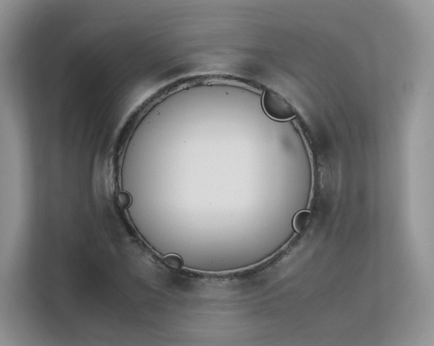 X0000111531069200907211239