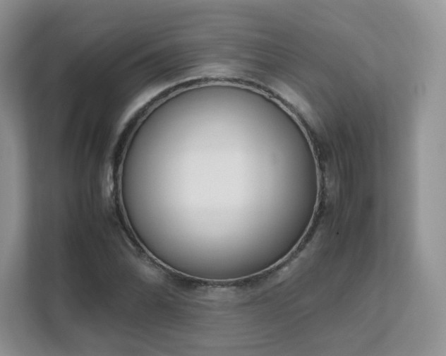 X0000111531070200907211239