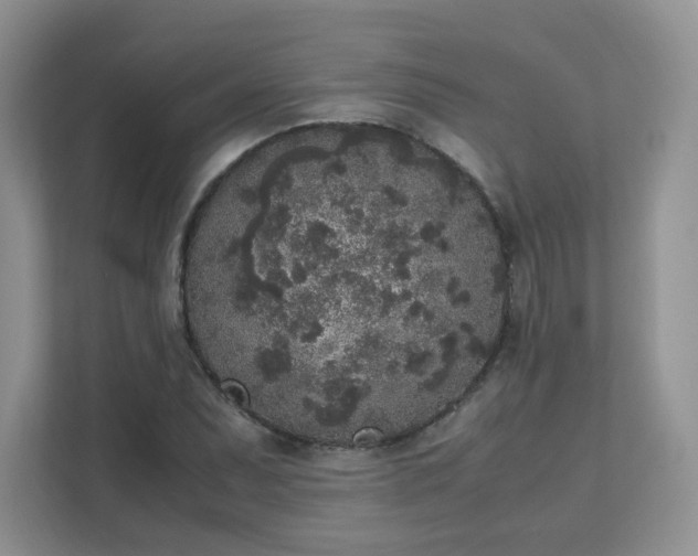 X0000111531071200907211239