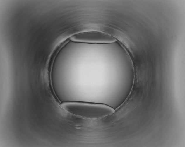 X0000111531072200907211239