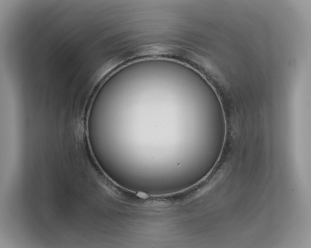 X0000111531073200907211239